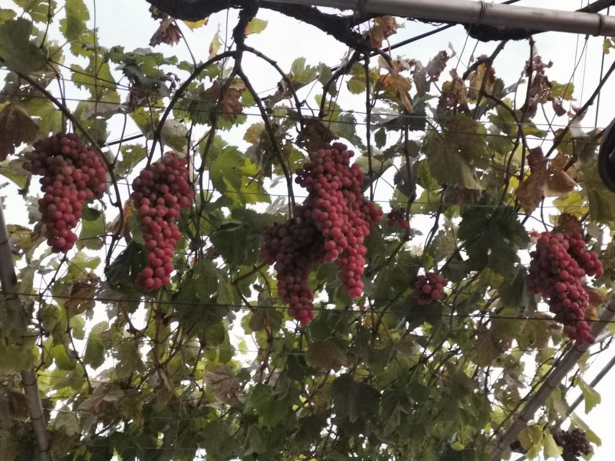 Възрожденски Комплекс Чардакъ Сопот Eksteriør bilde
